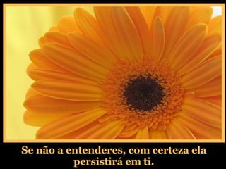 Se não a entenderes, com certeza ela persistirá em ti. 