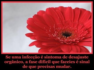 Se uma infecção é sintoma de desajuste orgânico, a fase difícil que faceies é sinal de que precisas mudar. 