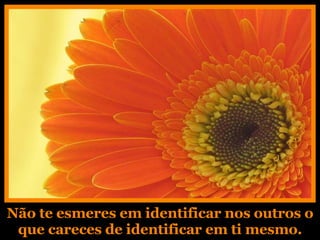 Não te esmeres em identificar nos outros o que careces de identificar em ti mesmo. 
