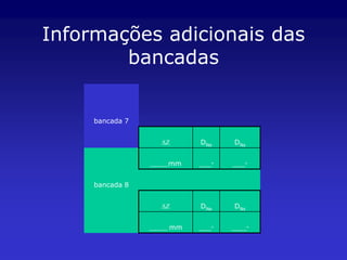 Informações adicionais das
        bancadas


     bancada 7


                     DZ        DNe      DNs


                 ______mm      ____"   ____"



     bancada 8


                     DZ        DNe      DNs


                 ______   mm   ____"   _____"
 