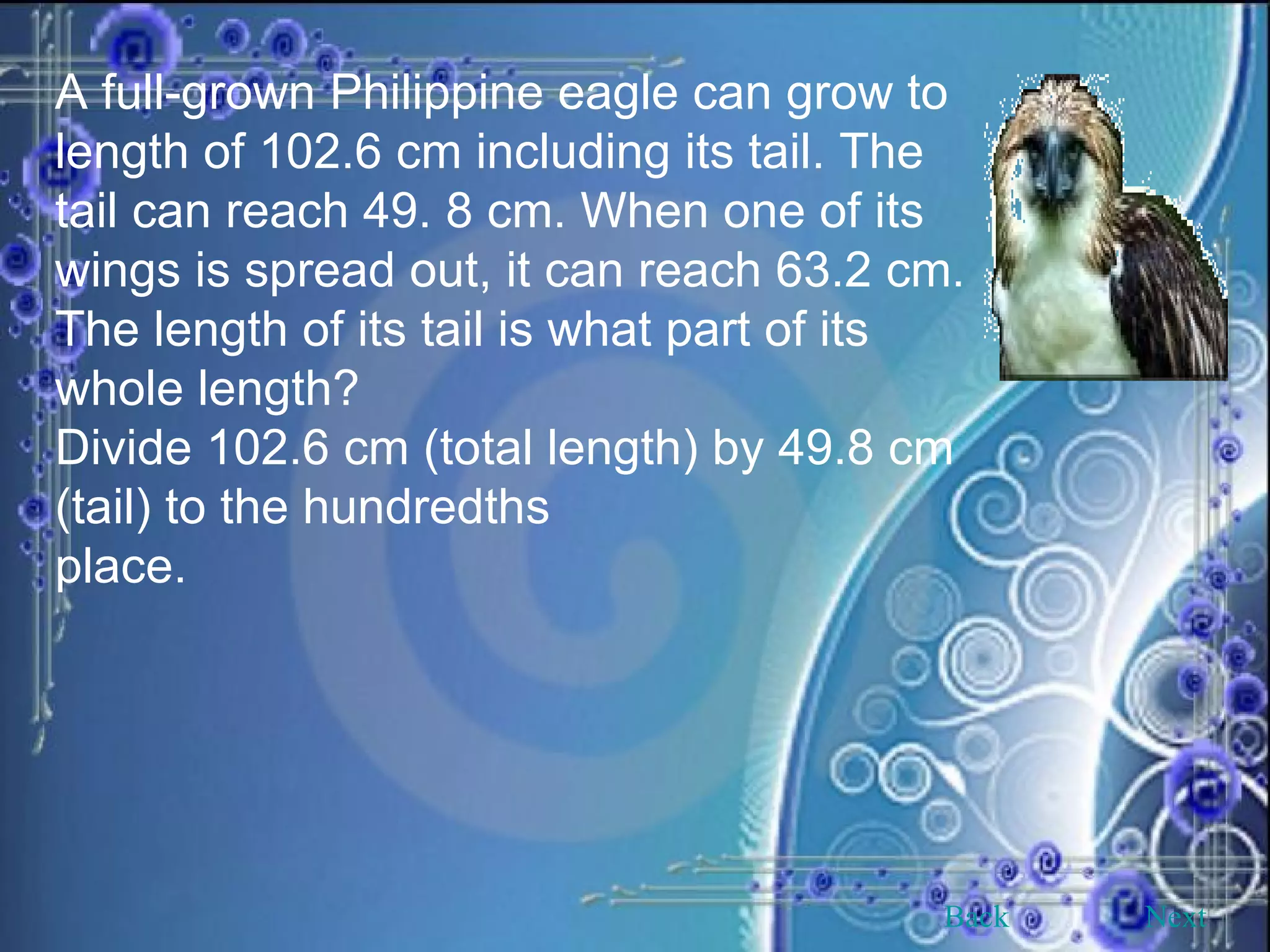 A full-grown Philippine eagle can grow to length of 102.6 cm including its tail. The tail can reach 49. 8 cm. When one of its wings is spread out, it can reach 63.2 cm. The length of its tail is what part of its whole length? Divide 102.6 cm (total length) by 49.8 cm (tail) to the hundredths place. Back Next 