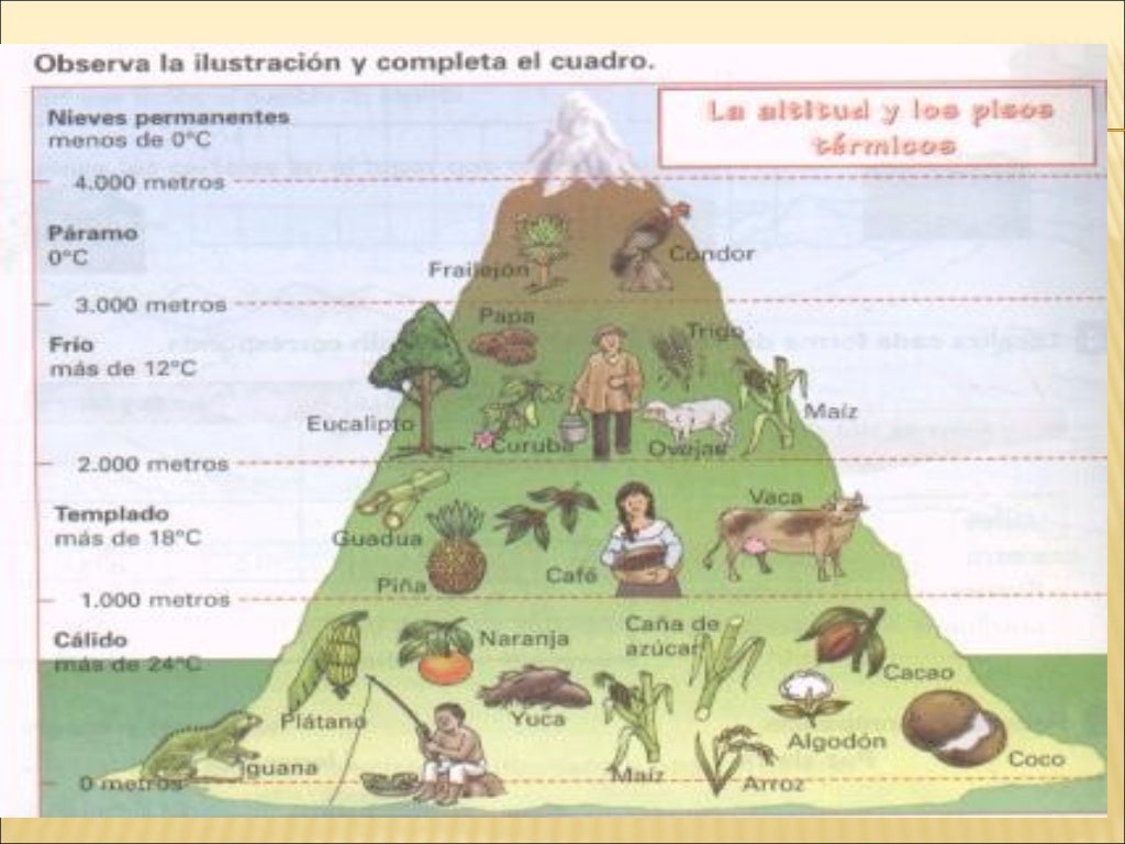 Pisos climáticos