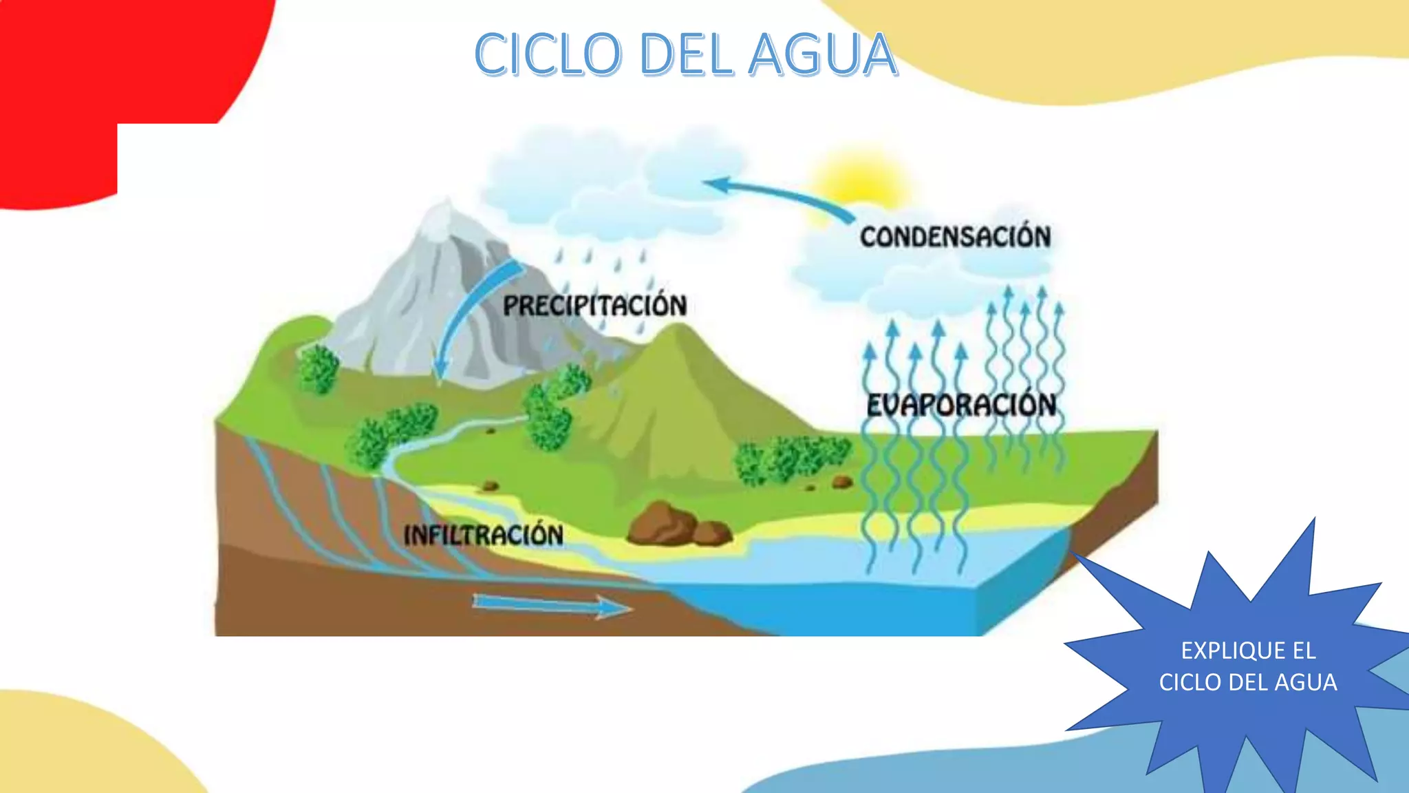 DECIMO CIENCIAS NATURALES-CICLO BIOGEOQUÍMICO-CICLO DEL AGUA-OXÍGENO-…