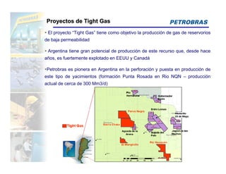 Proyectos de Tight Gas
 El proyecto “Tight Gas” tiene como objetivo la producción de gas de reservorios
de baja permeabilidad

 Argentina tiene gran potencial de producción de este recurso que, desde hace
años, es fuertemente explotado en EEUU y Canadá

Petrobras es pionera en Argentina en la perforación y puesta en producción de
este tipo de yacimientos (formación Punta Rosada en Rio NQN – producción
actual de cerca de 300 Mm3/d)
 