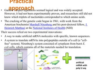 Deciphering of the genetic code | PPTX