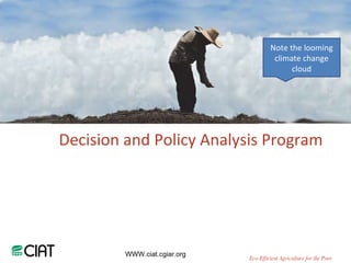 WWW.ciat.cgiar.org Decision and Policy Analysis Program Eco-Efficient Agriculture for the Poor Note the looming climate change cloud 