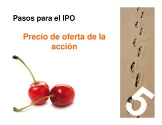 Pasos para el IPO

  Precio de oferta de la
         acción




                           48
 