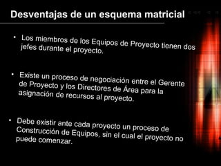 Flexibilidad de elegir recursos más idóneos para el proyecto.