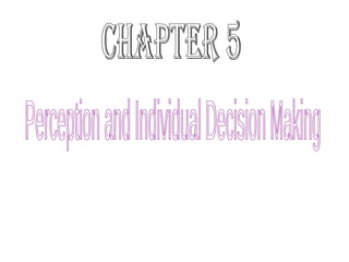 chapter 5 Perception and Individual Decision Making 