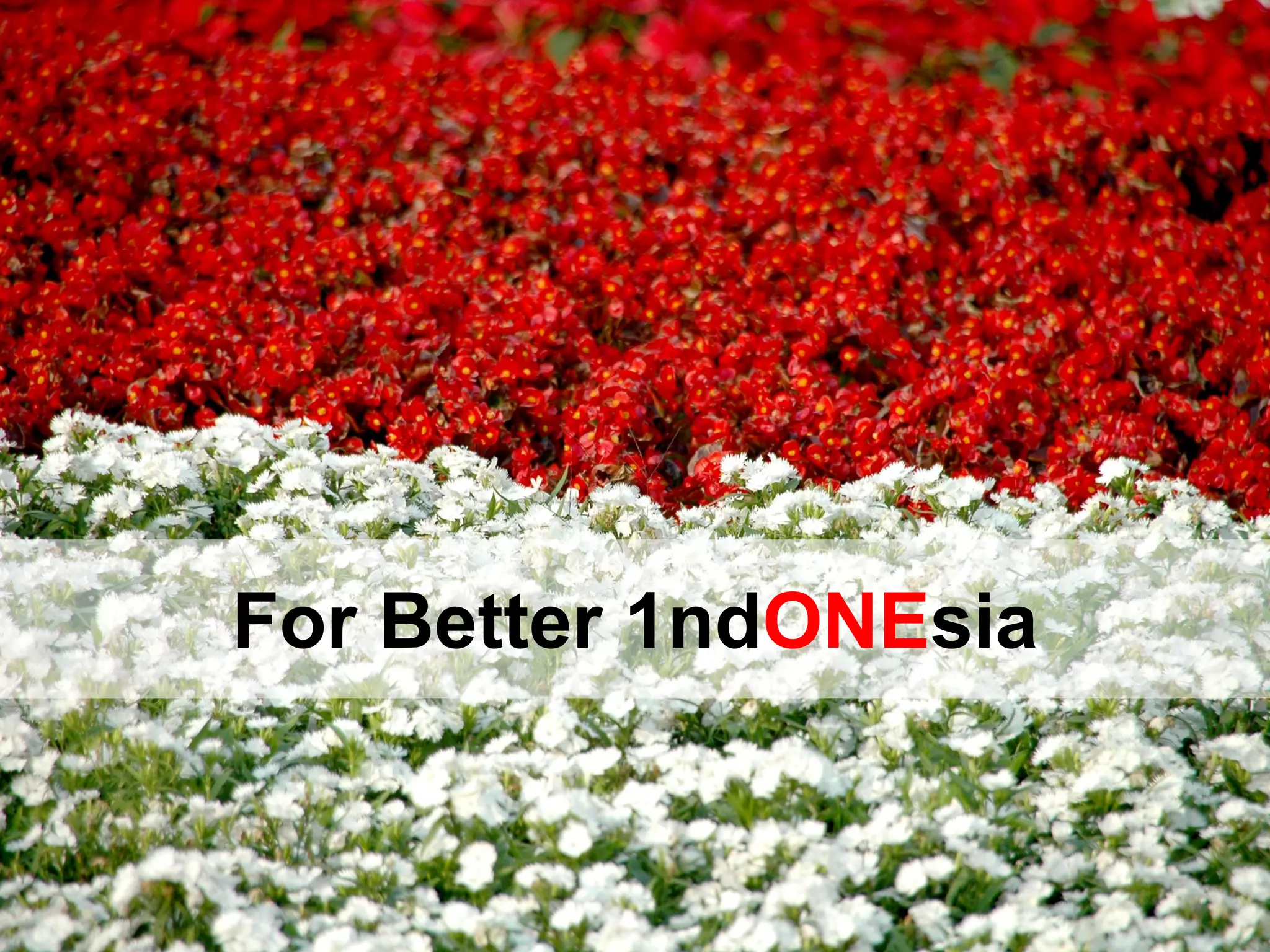 For Better 1ndONEsia
 
