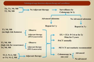 Decision making in early & advanced colorectal cancer | PPTX