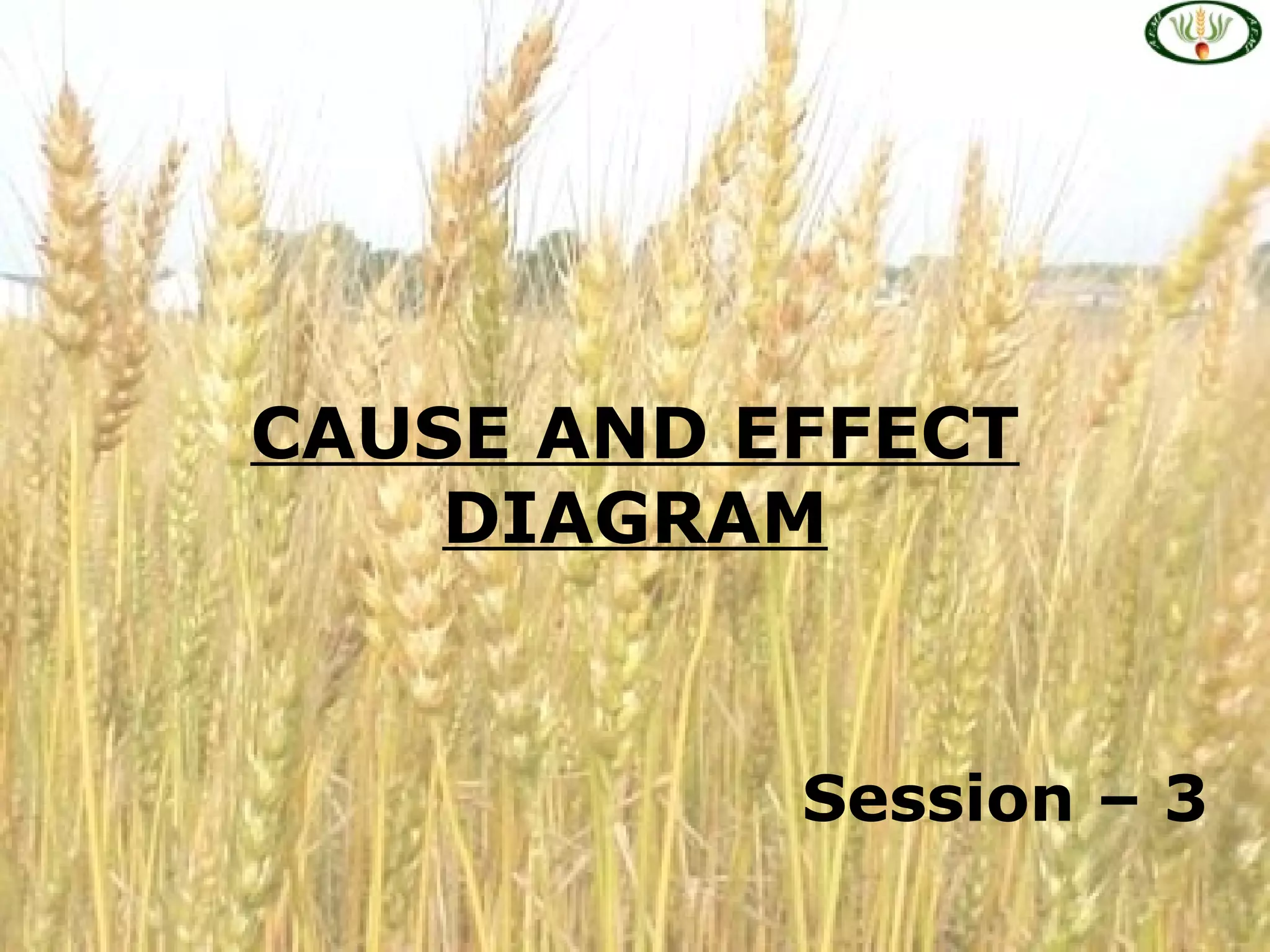 CAUSE AND EFFECT
DIAGRAM
Session – 3
 