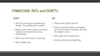 FAMACHA© DO’s and DON’Ts
DON’T
▪ Don’t try to expose membranes
simply by pulling down eyelid.
▪ Don’t score inner surface of lower
eyelid; score bed of mucous
membranes.
▪ Don’t use half scores; round up.
▪ Don’t shade eye
DO
▪ Repeat with other eye lid
▪ If you score the other eye higher,
err on the side of caution and use
the higher score.
▪ Stick with first impressions.
▪ Score under natural lighting.
 