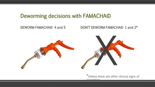 Deworming decisions with FAMACHA©
DEWORM FAMACHA© 4 and 5 DON’T DEWORM FAMACHA© 1 and 2*
*Unless there are other clinical signs of
parasitism
 