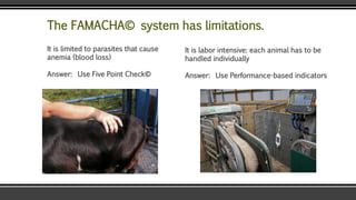The FAMACHA© system has limitations.
It is limited to parasites that cause
anemia (blood loss)
Answer: Use Five Point Check©
It is labor intensive: each animal has to be
handled individually
Answer: Use Performance-based indicators
 