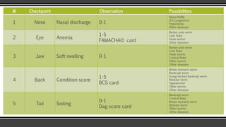 # Checkpoint Observation Possibilities
1 Nose Nasal discharge 0-1
Nasal botfly
0–1 Lungworms
Pneumonia
Other diseases
2 Eye Anemia
1-5
FAMACHA© card
Barber pole worm
Liver fluke
Hook worms
Other diseases
3 Jaw Soft swelling 0-1
Barber pole worm
Liver fluke
Hook worms
Conical fluke
Other worms
Other diseases
4 Back Condition score
1-5
BCS card
Brown stomach worm
Bankrupt worm
(Long-necked bankrupt worm
Nodular worm
Tapeworms?
Other worms
Other diseases
5 Tail Soiling
0-1
Dag score card
Bankrupt worm
Conical fluke
Brown stomach worm
Nodular worm
Other worms
Other diseases
 