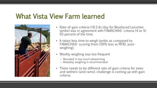 What Vista View Farm learned
▪ Rate-of-gain criteria (<0.3 lb/day for Bluefaced Leicester
lambs) was in agreement with FAMACHA© criteria (4 or 5)
93 percent of the time.
▪ It takes less time to weigh lambs as compared to
FAMACHA© scoring them (50% less w/RFID, auto-
weighing).
▪ Weekly weighing was too frequent
– Resulted in too much deworming
– Biweekly weighing is recommended
▪ There needs to be different rate-of-gain criteria for ewes
and wethers (and rams); challenge is coming up with gain
criteria.
 