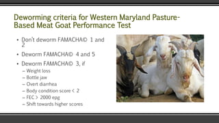 Deworming criteria for Western Maryland Pasture-
Based Meat Goat Performance Test
▪ Don’t deworm FAMACHA© 1 and
2
▪ Deworm FAMACHA© 4 and 5
▪ Deworm FAMACHA© 3, if
– Weight loss
– Bottle jaw
– Overt diarrhea
– Body condition score < 2
– FEC > 2000 epg
– Shift towards higher scores
 