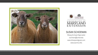 SUSAN SCHOENIAN
Sheep & Goat Specialist
sschoen@umd.edu
www.sheepandgoat.com
www.wormx.info
 