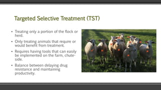 Targeted Selective Treatment (TST)
▪ Treating only a portion of the flock or
herd.
▪ Only treating animals that require or
would benefit from treatment.
▪ Requires having tools that can easily
be implemented on the farm, chute-
side.
▪ Balance between delaying drug
resistance and maintaining
productivity.
 

 




 