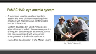 FAMACHA© eye anemia system
▪ A technique used in small ruminants to
assess the level of anemia resulting from
infection with Haemonchus contortus (the
barber pole worm).
▪ System developed in South Africa as an
alternative approach to the common practice
of frequent deworming of all animals, which
has been associated with widespread
emergence of anthelmintic resistance.
▪ Named for its originator: Faffa Malan (chart)
Dr. “Faffa” Malan (R)
 
