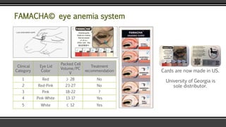 FAMACHA© eye anemia system
Clinical
Category
Eye Lid
Color
Packed Cell
Volume/PC
V
Treatment
recommendation
1 Red > 28 No
2 Red-Pink 23-27 No
3 Pink 18-22 ?
4 Pink-White 13-17 Yes
5 White < 12 Yes
Cards are now made in US.
University of Georgia is
sole distributor.
 