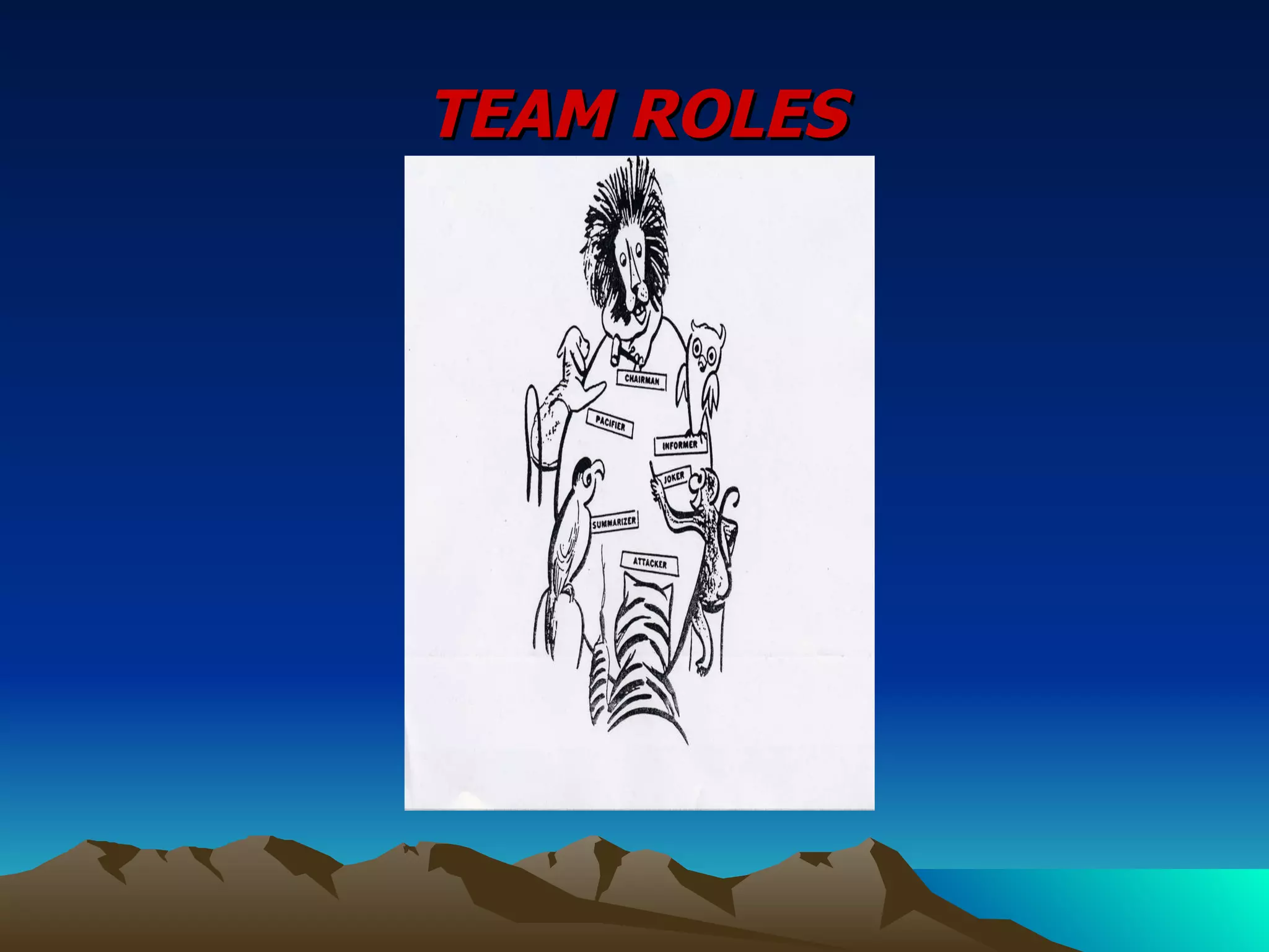 TEAM ROLES 