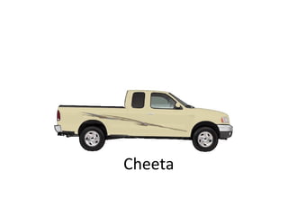 Cheeta 