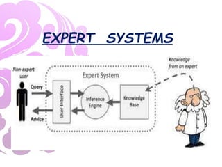EXPERT SYSTEMS
 