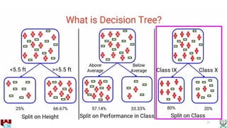Decision Tree algorithm Machine Learning.pptx