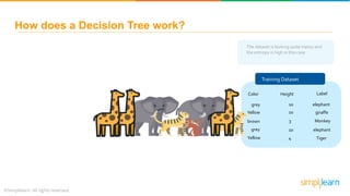 Decision Tree Algorithm With Example | Decision Tree In Machine Learning | Data Science |Simplilearn