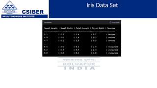 CSIBER
AN AUTONOMOUS INSTITUTE
Iris Data Set
 