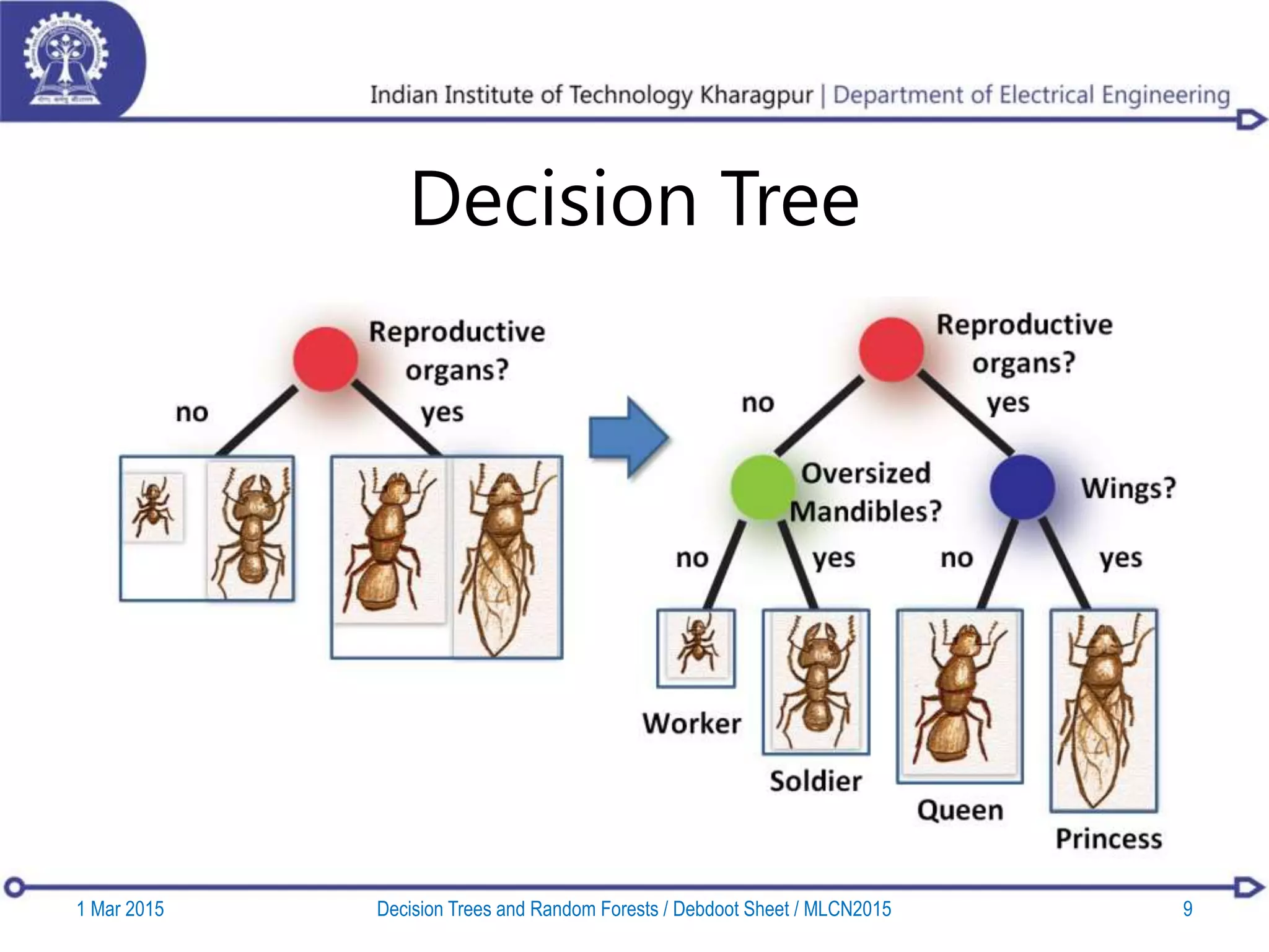 Decision trees and random forests | PPTX