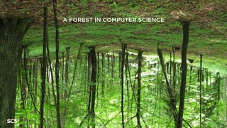 A FOREST IN COMPUTER SCIENCE
 