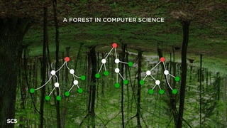 A FOREST IN COMPUTER SCIENCE
 