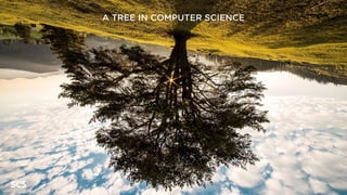 A TREE IN COMPUTER SCIENCE
 