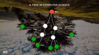 A TREE IN COMPUTER SCIENCE
Root
Leaf
Edge
Node
 