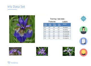 Iris Data Set
 