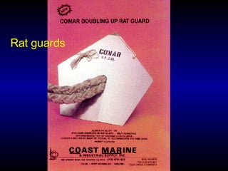 Rat guards 