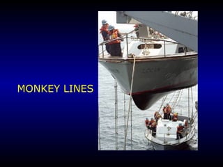 MONKEY LINES 