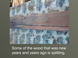Some of the wood that was new years and years ago is splitting.