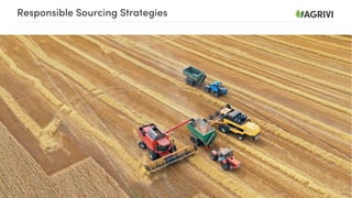 Responsible Sourcing Strategies
Photo of responsible sourcing
 