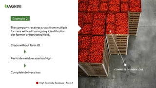 The company receives crops from multiple
farmers without having any identification
per farmer or harvested field.
Crops without farm ID
Pesticide residues are too high
Complete delivery loss
Example 2
High Pesticide Residues - Farm 1
COMPLETE DELIVERY LOSS
 