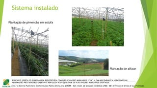 Este é o Material Publicitário da Distribuição Pública Direta pela SENCER - Ind. e Com. de Sensores Cerâmicos LTDA - ME de Títulos de Dívida de sua 1ª Emissão.
A PRESENTE OFERTA FOI DISPENSADA DE REGISTRO PELA COMISSÃO DE VALORES MOBILIÁRIOS “CVM”. A CVM NÃO GARANTE A VERACIDADE DAS
INFORMAÇÕES PRESTADAS PELO OFERTANTE NEM JULGA A SUA QUALIDADE OU A DOS VALORES MOBILIÁRIOS OFERTADOS.
Plantação de alface
Plantação de pimentão em estufa
Sistema instalado
 