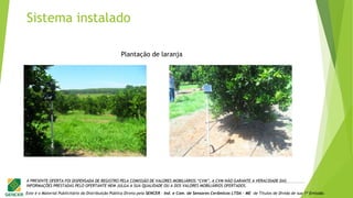 Este é o Material Publicitário da Distribuição Pública Direta pela SENCER - Ind. e Com. de Sensores Cerâmicos LTDA - ME de Títulos de Dívida de sua 1ª Emissão.
A PRESENTE OFERTA FOI DISPENSADA DE REGISTRO PELA COMISSÃO DE VALORES MOBILIÁRIOS “CVM”. A CVM NÃO GARANTE A VERACIDADE DAS
INFORMAÇÕES PRESTADAS PELO OFERTANTE NEM JULGA A SUA QUALIDADE OU A DOS VALORES MOBILIÁRIOS OFERTADOS.
Plantação de laranja
Sistema instalado
 