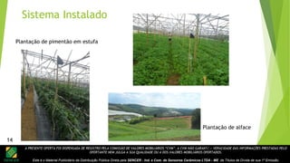 A PRESENTE OFERTA FOI DISPENSADA DE REGISTRO PELA COMISSÃO DE VALORES MOBILIÁRIOS “CVM”. A CVM NÃO GARANTE A VERACIDADE DAS INFORMAÇÕES PRESTADAS PELO
OFERTANTE NEM JULGA A SUA QUALIDADE OU A DOS VALORES MOBILIÁRIOS OFERTADOS.
Este é o Material Publicitário da Distribuição Pública Direta pela SENCER - Ind. e Com. de Sensores Cerâmicos LTDA - ME de Títulos de Dívida de sua 1ª Emissão.
14
Plantação de alface
Plantação de pimentão em estufa
Sistema Instalado
14
 