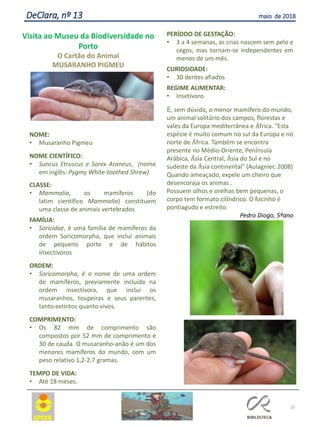 NOME:
• Musaranho Pigmeu
NOME CIENTÍFICO:
• Suncus Etruscus e Sorex Araneus, (nome
em inglês: Pygmy White-toothed Shrew)
CLASSE:
• Mammalia, os mamíferos (do
latim científico Mammalia) constituem
uma classe de animais vertebrados
FAMÍLIA:
• Soricidae, é uma família de mamíferos da
ordem Soricomorpha, que inclui animais
de pequeno porte e de hábitos
insectívoros
ORDEM:
• Soricomorpha, é o nome de uma ordem
de mamíferos, previamente incluída na
ordem insectívora, que inclui os
musaranhos, toupeiras e seus parentes,
tanto extintos quanto vivos.
COMPRIMENTO:
• Os 82 mm de comprimento são
compostos por 52 mm de comprimento e
30 de cauda. O musaranho-anão é um dos
menores mamíferos do mundo, com um
peso relativo 1,2-2,7 gramas.
TEMPO DE VIDA:
• Até 18 meses.
PERÍODO DE GESTAÇÃO:
• 3 a 4 semanas, as crias nascem sem pelo e
cegos, mas tornam-se independentes em
menos de um mês.
CURIOSIDADE:
• 30 dentes afiados
REGIME ALIMENTAR:
• Insetívoro
É, sem dúvida, o menor mamífero do mundo,
um animal solitário dos campos, florestas e
vales da Europa mediterrânea e África. “Esta
espécie é muito comum no sul da Europa e no
norte de África. Também se encontra
presente no Médio-Oriente, Península
Arábica, Ásia Central, Ásia do Sul e no
sudeste da Ásia continental” (Aulagnier, 2008)
Quando ameaçado, expele um cheiro que
desencoraja os animas .
Possuem olhos e orelhas bem pequenas, o
corpo tem formato cilíndrico. O focinho é
pontiagudo e estreito.
Pedro Diogo, 5ºano
10
DeClara, nº 13 maio de 2018
Visita ao Museu da Biodiversidade no
Porto
O Cartão do Animal
MUSARANHO PIGMEU
 