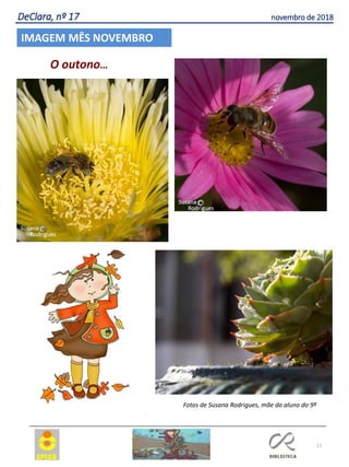 11
IMAGEM MÊS NOVEMBRO
O outono…
Fotos de Susana Rodrigues, mãe do aluno do 9º
DeClara, nº 17 novembro de 2018
 