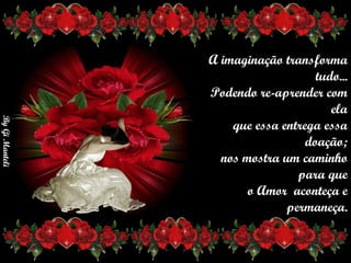 A imaginação transforma tudo...      Podendo re-aprender com ela      que essa entrega essa doação;      nos mostra um caminho para que      o Amor  aconteça e permaneça. 