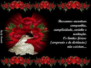Buscamos encontrar companhia,      cumplicidade, carinho e aceitação.     Os limites físicos     (corporais e de distância)     não existem.... 